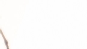 wells-fargo-demanda-pagos-invasion-de-privacidad