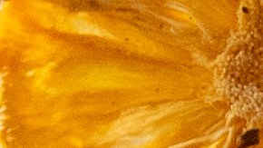 Su propuesta culinaria  se construye sobre ingredientes importados directamente de Japón, combinados con productos peruanos emblemáticos.