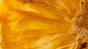 Su propuesta culinaria  se construye sobre ingredientes importados directamente de Japón, combinados con productos peruanos emblemáticos.