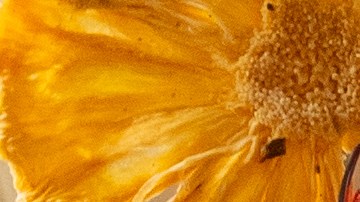 Su propuesta culinaria  se construye sobre ingredientes importados directamente de Japón, combinados con productos peruanos emblemáticos.