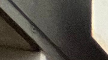 Zohran Mamdani lanza video en español