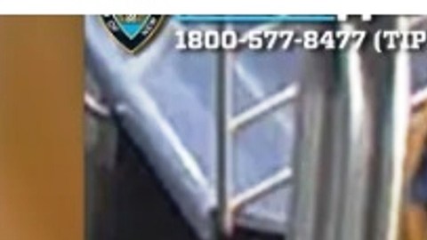 Sospechoso de necrofilia y robo en el Metro de NYC.