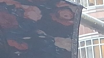 La puertorriqueña Janet Colón lleva años luchando por un perdón a su esposo. Asegura que desde hace cuatro años debió ser liberado.