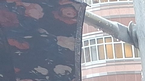 La puertorriqueña Janet Colón lleva años luchando por un perdón a su esposo. Asegura que desde hace cuatro años debió ser liberado.