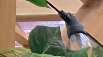 El alcalde Eric Adams buscará su reelección en noviembre como independiente