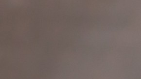 Los compuestos del jengibre y los tés negro y verde aportan beneficios para la salud.