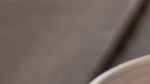 Los compuestos del jengibre y los tés negro y verde aportan beneficios para la salud.