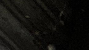 Ecuatorianos de NYC saldrán a votar este domingo por presidente.