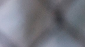 ICE realiza operaciones contra indocumentados a nivel nacional.