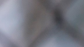 ICE realiza operaciones contra indocumentados a nivel nacional.