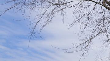 Harvard rechazó las exigencias enviadas por el grupo de trabajo federal contra el antisemitismo.