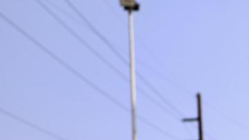 El gobierno de Venezuela les ha dicho que no tiene combustible para realizar vuelos humanitarios.