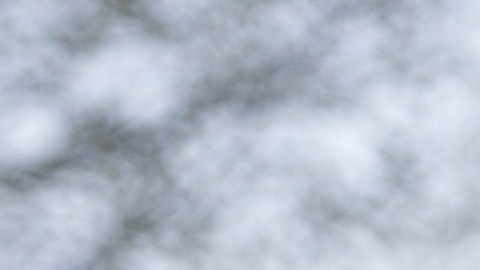 Los empelados tienen una fecha límite para dar sus respuestas. Mientras, el secretario del interior ordenó que los parques nacionales permanezcan abiertos.