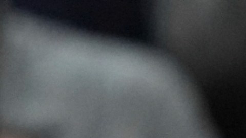 El presidente dijo no estar sorprendido con la decisión de Musk.