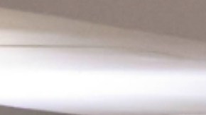 Miles de fieles le han dado el último adiós al papa Francisco.