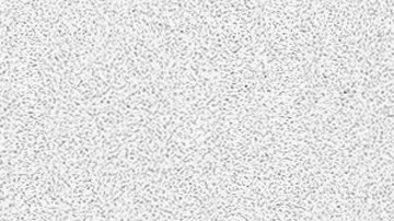 La lancha se elevó 30 pies en el aire, pero los competidores solo tuvieron algunos golpes.