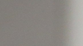 Michele Fiore fue acusada de gastar el dinero de una recaudación de fondos.