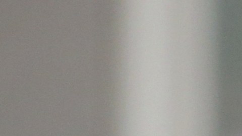 Michele Fiore fue acusada de gastar el dinero de una recaudación de fondos.