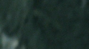 Óscar Arias dijo que no sabía porque le habían revocado su visa de Estados Unidos.