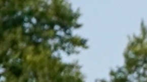 El recorte de recursos restringirá la atención de miles de personas.