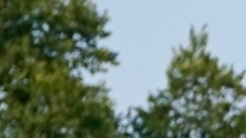 El recorte de recursos restringirá la atención de miles de personas.