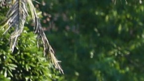 El sheriff del condado de Leon, identificó al pistolero, que se encuentra hospitalizado.