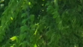 La policía ya tiene una descripción del pistolero que escapó después del tiroteo.