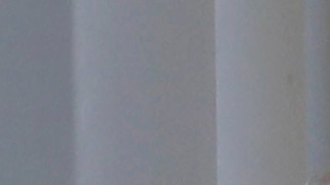 El mandatario dijo a la prensa que no despedirá a Powell a pesar de las críticas.