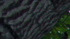 La Universidad de Princeton en New Jersey es una de las ocho universidades privadas de investigación de la Ivy League .