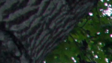 La Universidad de Princeton en New Jersey es una de las ocho universidades privadas de investigación de la Ivy League .