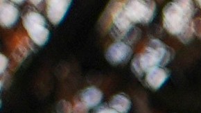 La ley amenazaba con privar a las personas transgénero de su derecho constitucional a la igualdad.