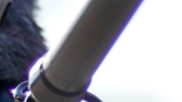 La periodista de 27 años, murió en octubre de 2024 mientras estaba en cautiverio en Rusia.