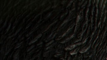 Este asesinato fue el primer tiroteo y homicidio reportado este 2025 en la comisaría 61, que supervisa Sheepshead Bay.