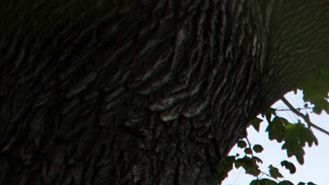 Este asesinato fue el primer tiroteo y homicidio reportado este 2025 en la comisaría 61, que supervisa Sheepshead Bay.