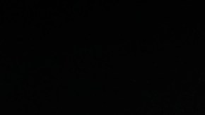 Trump anunció que no continuaría extendiendo los beneficios del TPS para los haitianos, lo que afecta a más de medio millón de inmigrantes de este país que viven y trabajan en EE.UU.