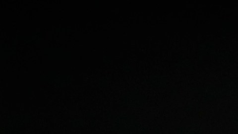 Trump anunció que no continuaría extendiendo los beneficios del TPS para los haitianos, lo que afecta a más de medio millón de inmigrantes de este país que viven y trabajan en EE.UU.