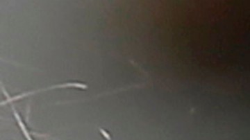 Se espera una decisión en el caso, conocido como Medina vs. Planned Parenthood South Atlantic, para el mes de julio, cuando el tribunal por lo general termina de emitir los fallos de período.