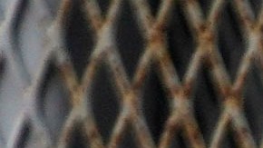 Aplicación para asilo CBP One dejada sin efecto por Trump