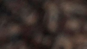 Cartel en respaldo a la comunidad transgénero en Stonewall Pride Parade and Street Festival, en Florida