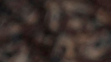 Cartel en respaldo a la comunidad transgénero en Stonewall Pride Parade and Street Festival, en Florida