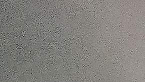 La sentencia de Santos está prevista para el próximo 25 de abril.