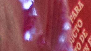 Programa de asistencia alimentaria SNAP