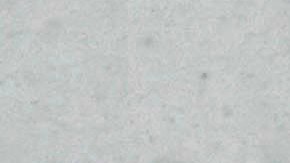 El vuelo partió desde Jamaica, Salt Lake City y Nueva York hasta llegar a Florida.