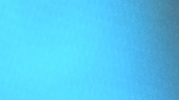 Tebas responde a Flick por sus quejas sobre el calendario de LaLiga