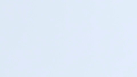 Los ferroviarios ondean la bandera nacional mexicana en la locomotora de vapor Canadian Pacific 2816, también conocida como "Emperatriz", estacionada en las vías del tren en la Ciudad de México, el viernes 7 de junio de 2024.