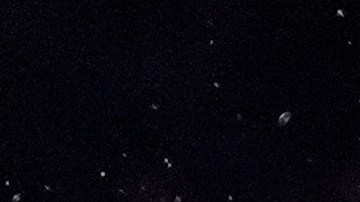 Edgar Berlanga quiere la revancha contra el Canelo Álvarez.