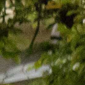 El joven evitó ser asaltado y herido, rechazó la atención médica de los socorristas en el sitio.