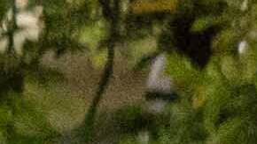 El joven evitó ser asaltado y herido, rechazó la atención médica de los socorristas en el sitio.