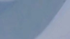 Autoridades descartaron que el avión representara una amenaza.