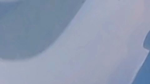 Autoridades descartaron que el avión representara una amenaza.